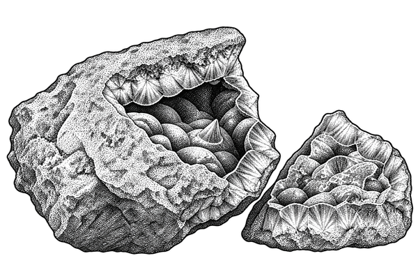 Engraved mineral specimen